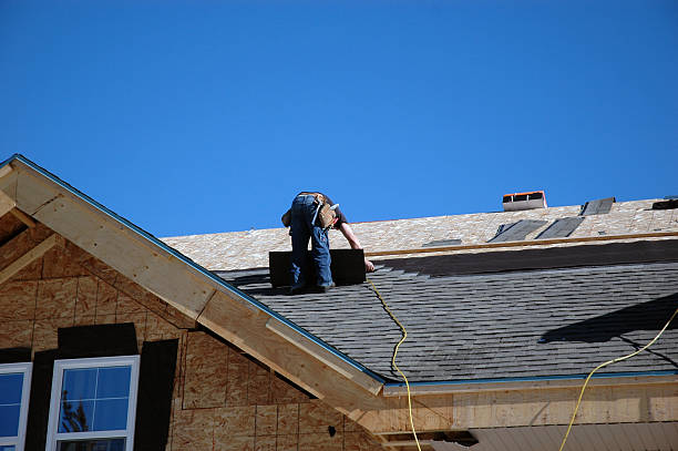 Best Roof Moss and Algae Removal  in Sconsin Dells, WI