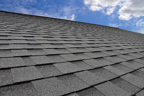 Best Skylight Installation and Repair  in Sconsin Dells, WI